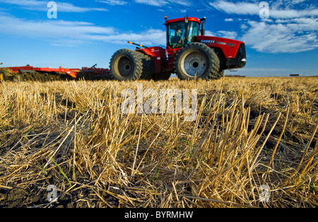 Close-up di stoppie di frumento con un fuori fuoco trattore tirando coltivando attrezzatura in background / Manitoba, Canada. Foto Stock