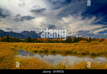 Vista da Blacktail stagni, autunno Tetons gamma in background, Grand Tetons NP Wyoming USA Foto Stock