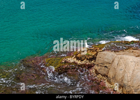 Rock in profondità di acqua di mare pulita. Seascape di Lloret de Mar Riva, Spagna. Foto Stock