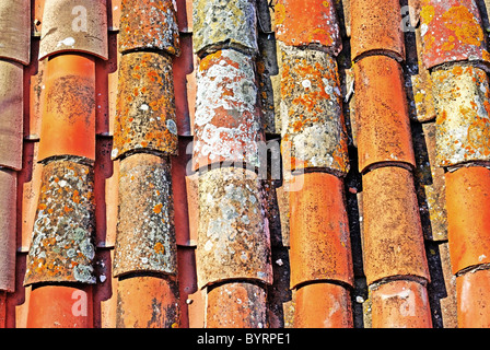 Abstract vecchio tegola come sfondo o uno sfondo Tossa de Mar, Spagna. Foto Stock