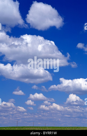 Cumulus nuvole nel cielo blu in una giornata di sole brillante su una fieide verde con poli telefonici Foto Stock