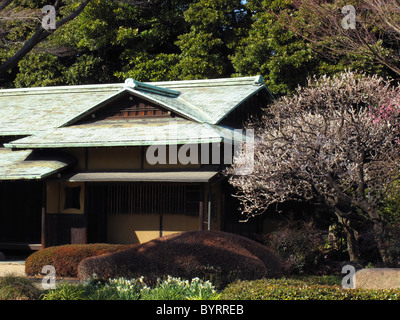 Suwano-chaya Tea House nel palazzo imperiale est giardini, Tokyo, Giappone. Foto Stock