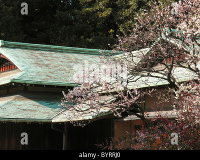 Suwano-chaya Tea House nel palazzo imperiale est giardini, Tokyo, Giappone. Foto Stock