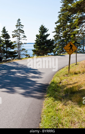 Schooner Head Road, chiamato anche Park Loop Road nel Parco Nazionale di Acadia vicino a Bar Harbor, Maine Foto Stock