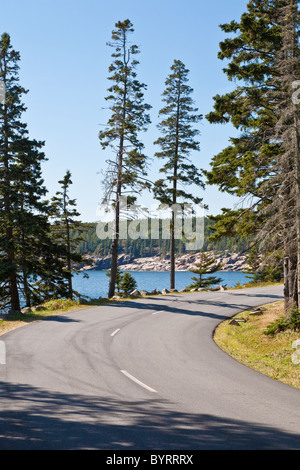 Schooner Head Road, chiamato anche Park Loop Road nel Parco Nazionale di Acadia vicino a Bar Harbor, Maine Foto Stock