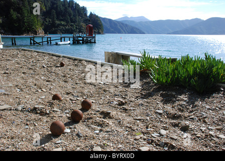 Campo bocce e vista sui suoni, vicino a Picton in Nuova Zelanda, vista dal balcone del pesce pigro bach (homestead) Foto Stock