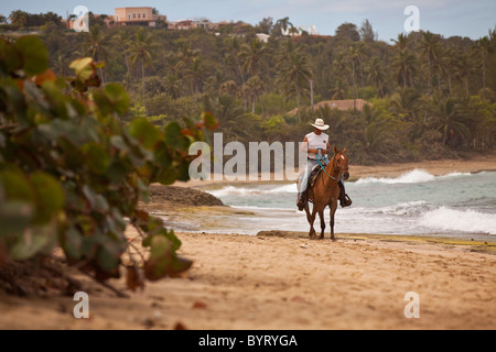 Un cavaliere a cavallo sulla spiaggia Playa spiaggia baracche in Isabela Puerto Rico Foto Stock