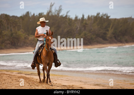 Un cavaliere a cavallo sulla spiaggia Playa spiaggia baracche in Isabela Puerto Rico Foto Stock