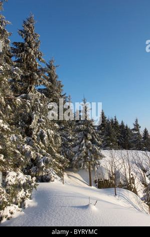 Paesaggio Winterly Hahnenklippen, Parco Nazionale di Harz, Germania Foto Stock