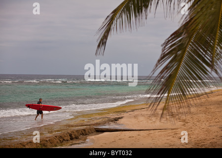 Un surfista sulla spiaggia Playa spiaggia baracche in Isabela Puerto Rico Foto Stock