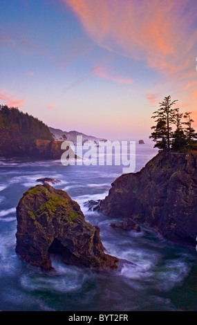 Oregon Coast a sud di ponti naturali Viewpoint, Samuel H. Boardman parco dello stato. Foto Stock