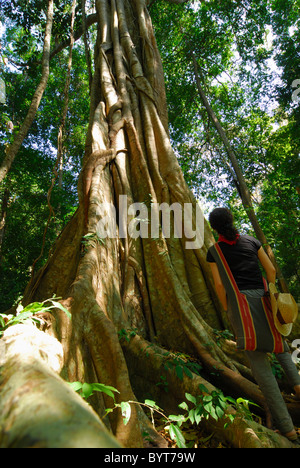 Al Namnao Parco Nazionale in Thailandia Foto Stock