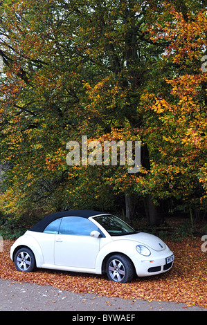 Volkswagen New Beetle, fine del modello 2007-2008 Cabriolet capote in colori autunnali. Harvest Moon colore dell'anno, Nuovo Beetle. Foto Stock