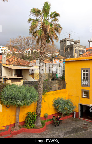 Fort Sao Tiago, il 'giallo Fort', a Funchal, Madeira Foto Stock