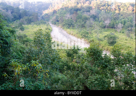 Vista sul fiume parco di cittadino di Corbett Uttarakhand India Foto Stock