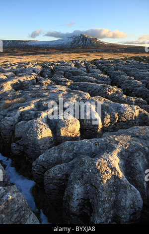 Veduta invernale della pavimentazione di pietra calcarea in scala Moor, guardando verso Ingleborough, uno di Yorkshire Dales famose Tre Cime di Lavaredo Foto Stock