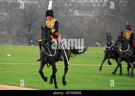 Cavalleria cavallo al galoppo Foto Stock