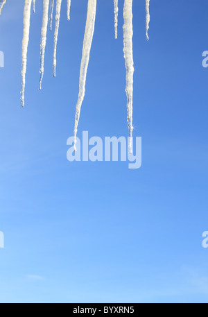 Gruppo di ghiaccioli pendenti contro un cielo blu. Foto Stock