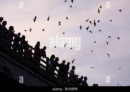 Austin Texas Foto Stock