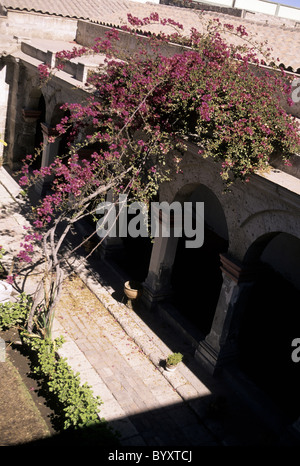 Passerella arcuata con la fioritura delle piante nel monastero francescano di Recoleta- Arequipa, Perù. Foto Stock