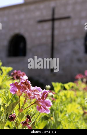 Piante da fiore all'interno del Claustro de la Misiones nel monastero francescano di Recoleta- Arequipa, Perù. Foto Stock