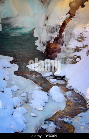 Congelati e nevoso creek al di sotto di Christine scende in Mount Rainier National Park in inverno Foto Stock