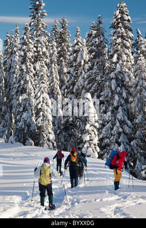 Snowshoers in Mount Rainier National Park nella stagione invernale Foto Stock