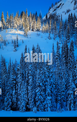 Il Parco Nazionale del Monte Rainier diventa un paradiso per gli sport invernali in inverno, con coperta di neve alberi e sentieri per escursioni con le racchette da neve o con gli sci Foto Stock