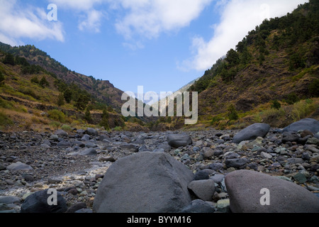 Letto asciutto del fiume, Barranco de las Angustias, La Palma Isole Canarie Spagna Foto Stock