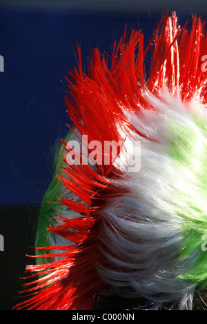 Rugby fan a Roma per il sei nazioni partita Italia contro l'Irlanda 2011 Foto Stock