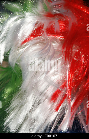 Rugby fan a Roma per il sei nazioni partita Italia contro l'Irlanda 2011 Foto Stock