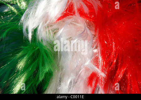 Rugby fan a Roma per il sei nazioni partita Italia contro l'Irlanda 2011 Foto Stock