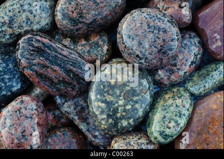 Colorfull pietre, sassi, Ruegen, Mar Baltico, Germania, coast Foto Stock