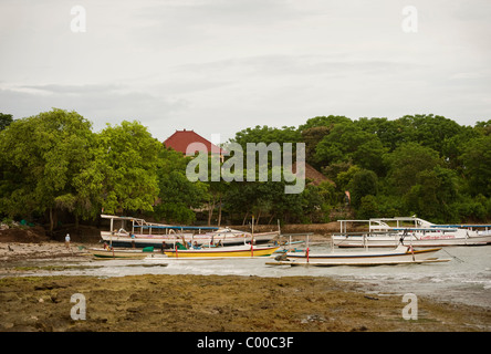 Tradizionali barche da pesca e il commuter buttafuori popolano Tamarind Bay sull'isola Balinese di Nusa Lembongan. Foto Stock