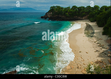 Sull'isola Balinese di Nusa Lembongan si trova la piccola area di spiaggia chiamato Baia a fungo. Un tropicale bellissima spiaggia di sabbia bianca. Foto Stock