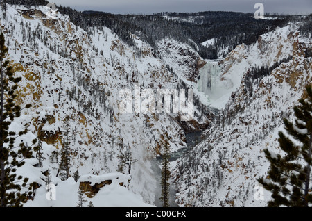 Le cascate Inferiori e il Grand Canyon. Parco Nazionale di Yellowstone, Wyoming negli Stati Uniti. Foto Stock