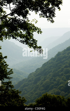 Stati Uniti d'America, West Virginia, Babcock State Park, l'impostazione di sole illumina Allegheny montagne sulla serata estiva Foto Stock