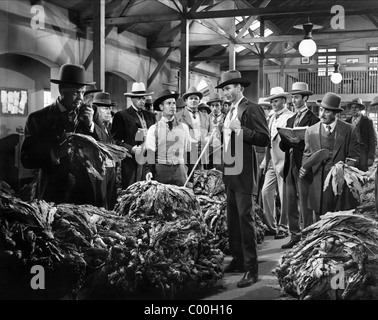 GARY COOPER Bright Foglie (1950) Foto Stock