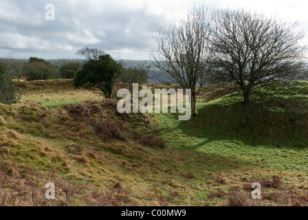 Blackdown anelli sono i resti di un castelliere preistorico hillfort nel Devon, Inghilterra sudoccidentale Foto Stock