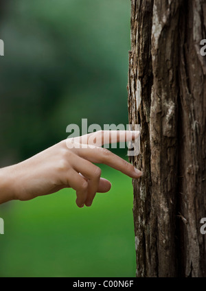 Femmina a piedi a mano su un tronco di un albero. Grande concetto di ecologia Foto Stock