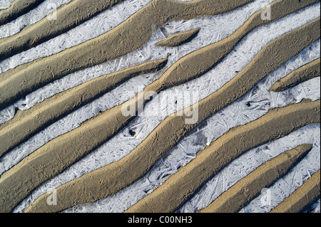 Modello di ondulazioni di sabbia e di ghiaccio sulla spiaggia durante il gelo invernale, Paesi Bassi Foto Stock