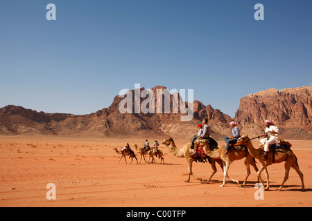 I turisti a cavallo di cammelli nel deserto, Wadi Rum, Giordania. Foto Stock