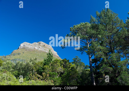 Sud Africa, Cape Town. Vista di testa di leone da Table Mountain. Foto Stock