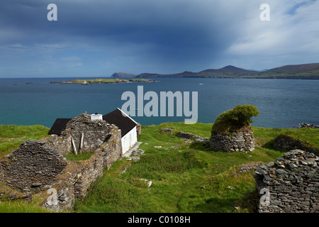 Restaurato ed evacuato Cottages sulla Grande Isola di Blasket, isole Blasket, penisola di Dingle, nella contea di Kerry, Irlanda Foto Stock