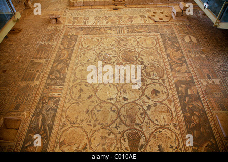 Mosaici a Santo Stefano chiesa in Umm Ar-Rasas, Giordania. Foto Stock