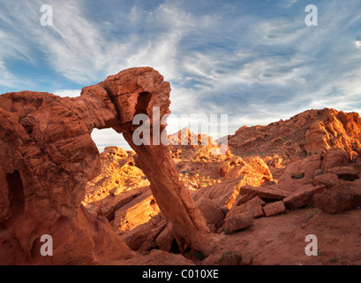 Elephant Rock. La Valle del Fuoco del parco statale, Nevada Foto Stock