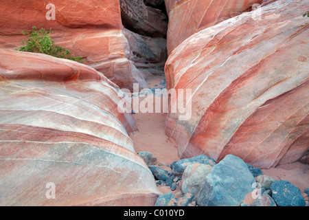 Sentiero entrata nello slot canyon. La Valle del Fuoco del parco statale, Nevada Foto Stock