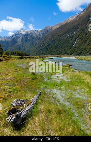 La tomaia Wilkin river valley sull'isola del sud della Nuova Zelanda Foto Stock