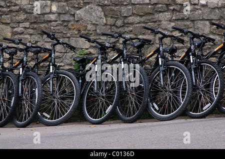 Biciclette schierate contro un muro di pietra. Wiltshire, Regno Unito Settembre 2010 Foto Stock