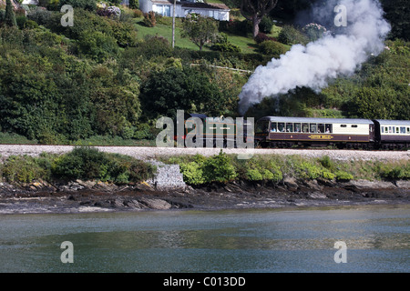 Il Paignton e Dartmouth Steam Railway visto dal centro del fiume Dart Foto Stock